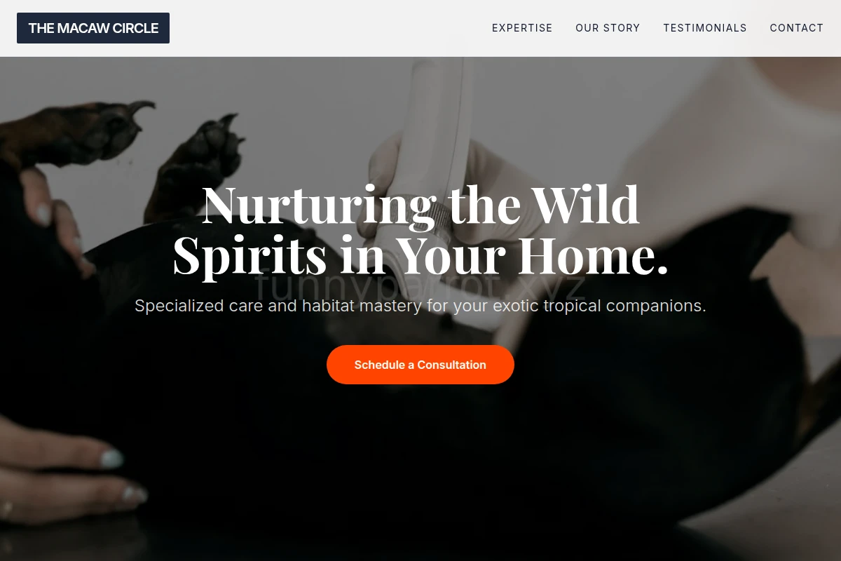 Rainforest Animal Care