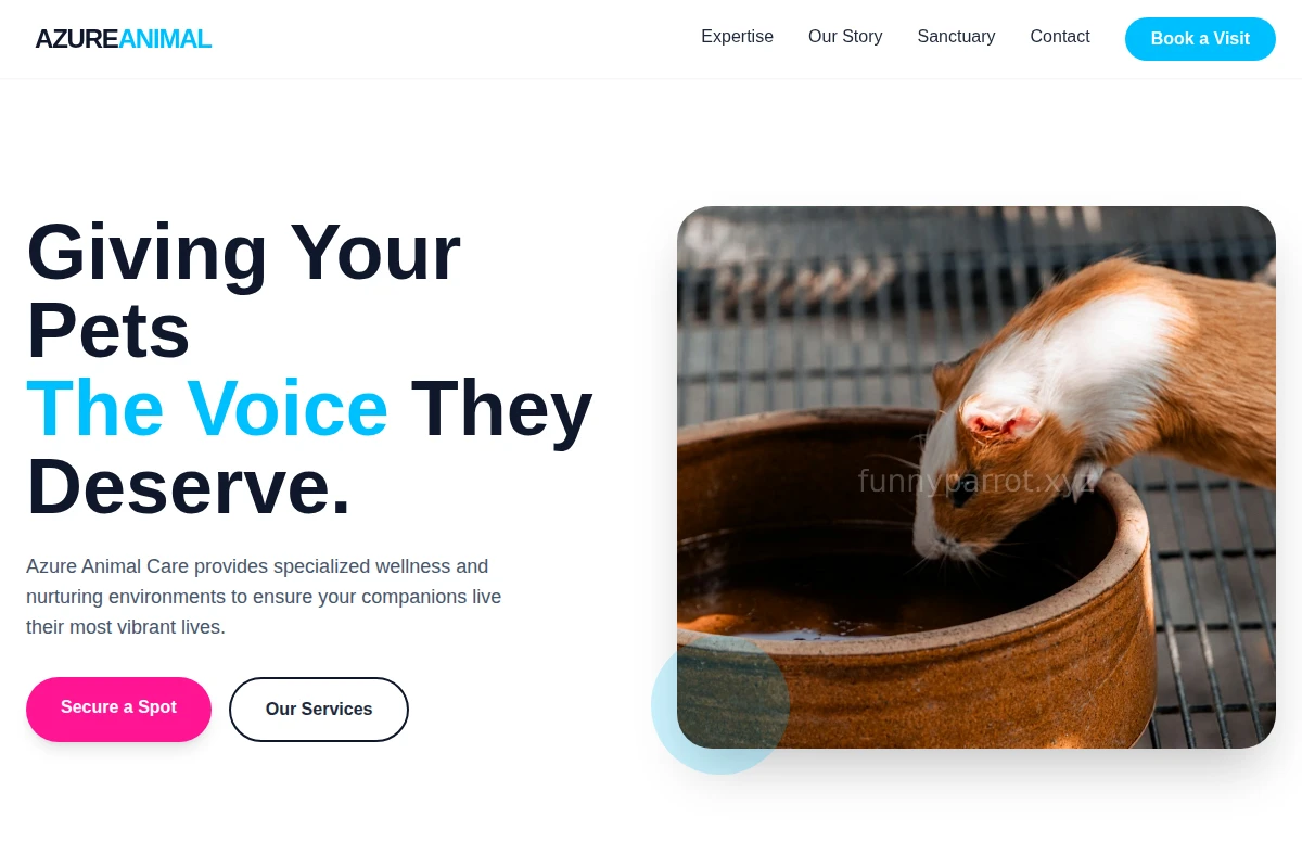 Azure Animal Care