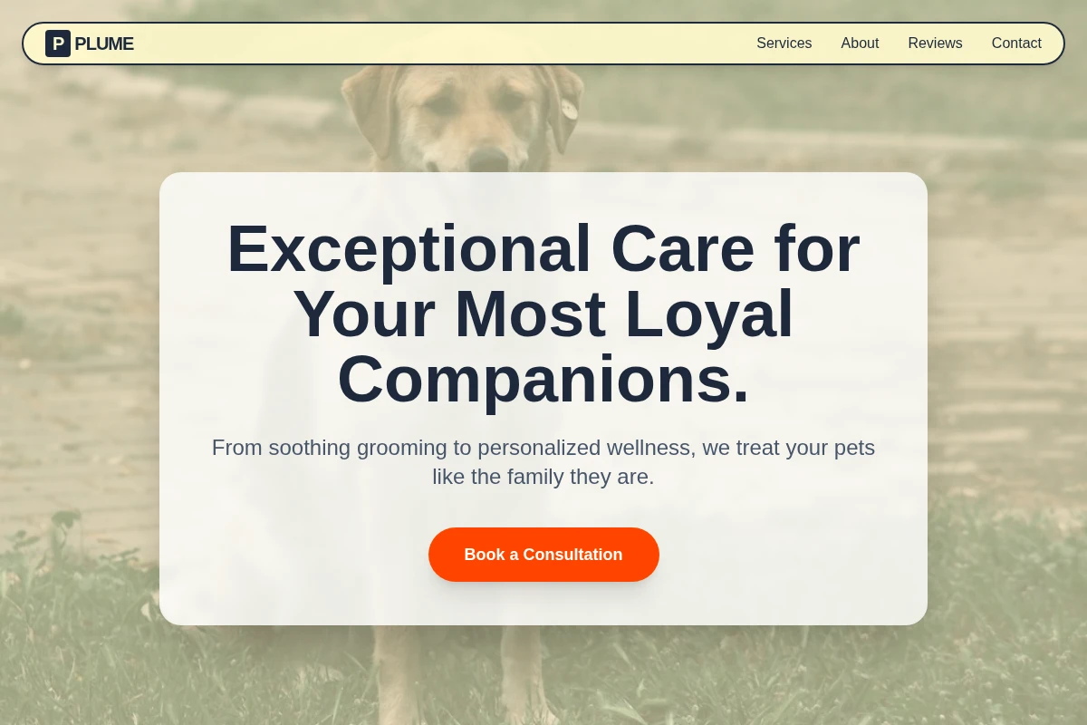 Plume Animal Care