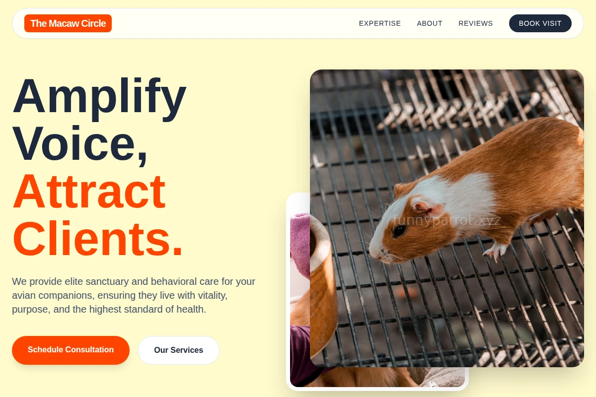 Vibrant Animal Care
