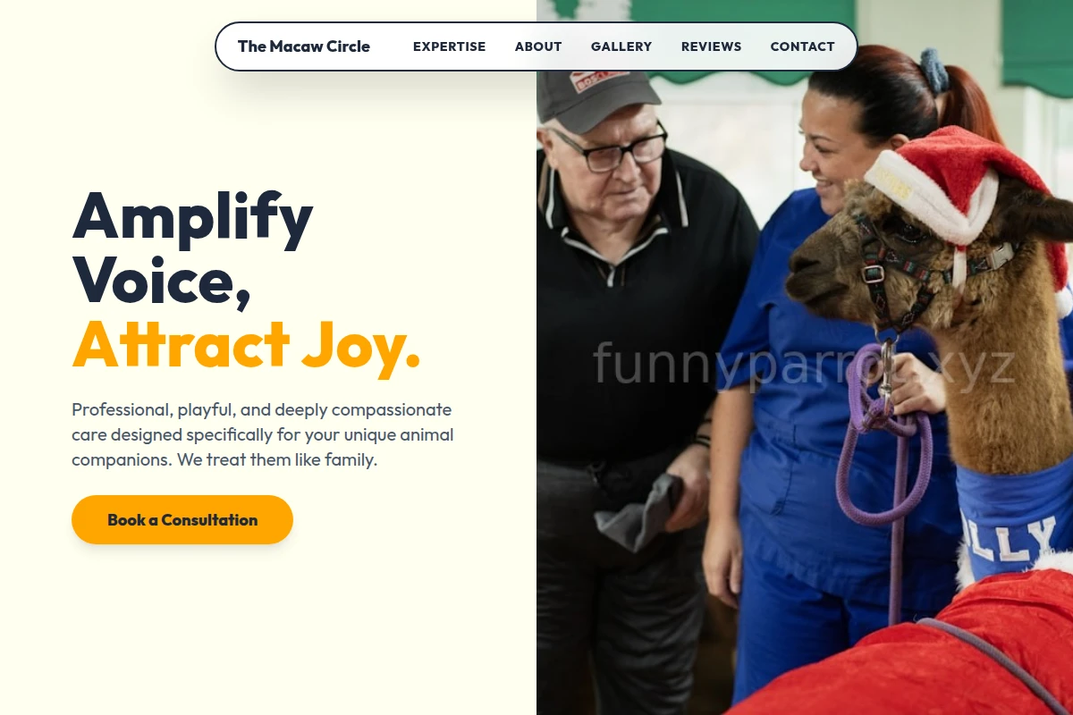 Playful Animal Care