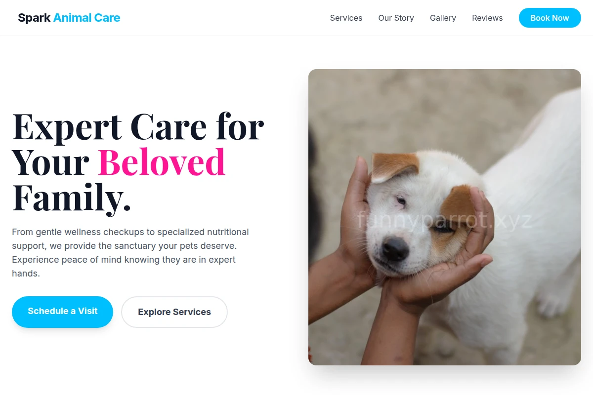 Spark Animal Care