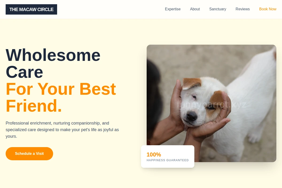 Playful Animal Care