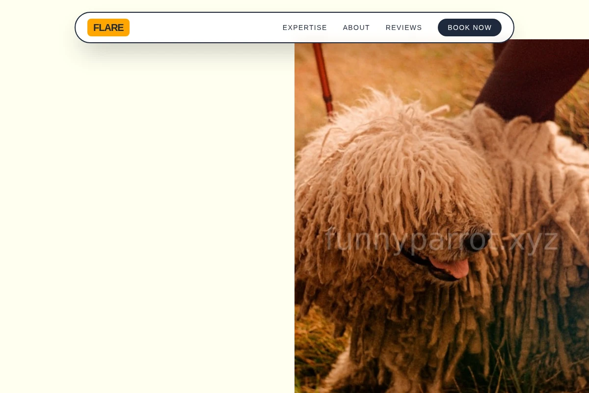 Flare Pet Services