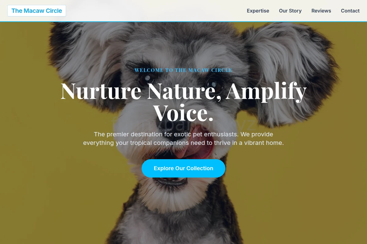 Rainforest Pet Shop