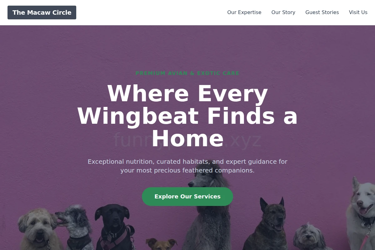 Feather Pet Shop