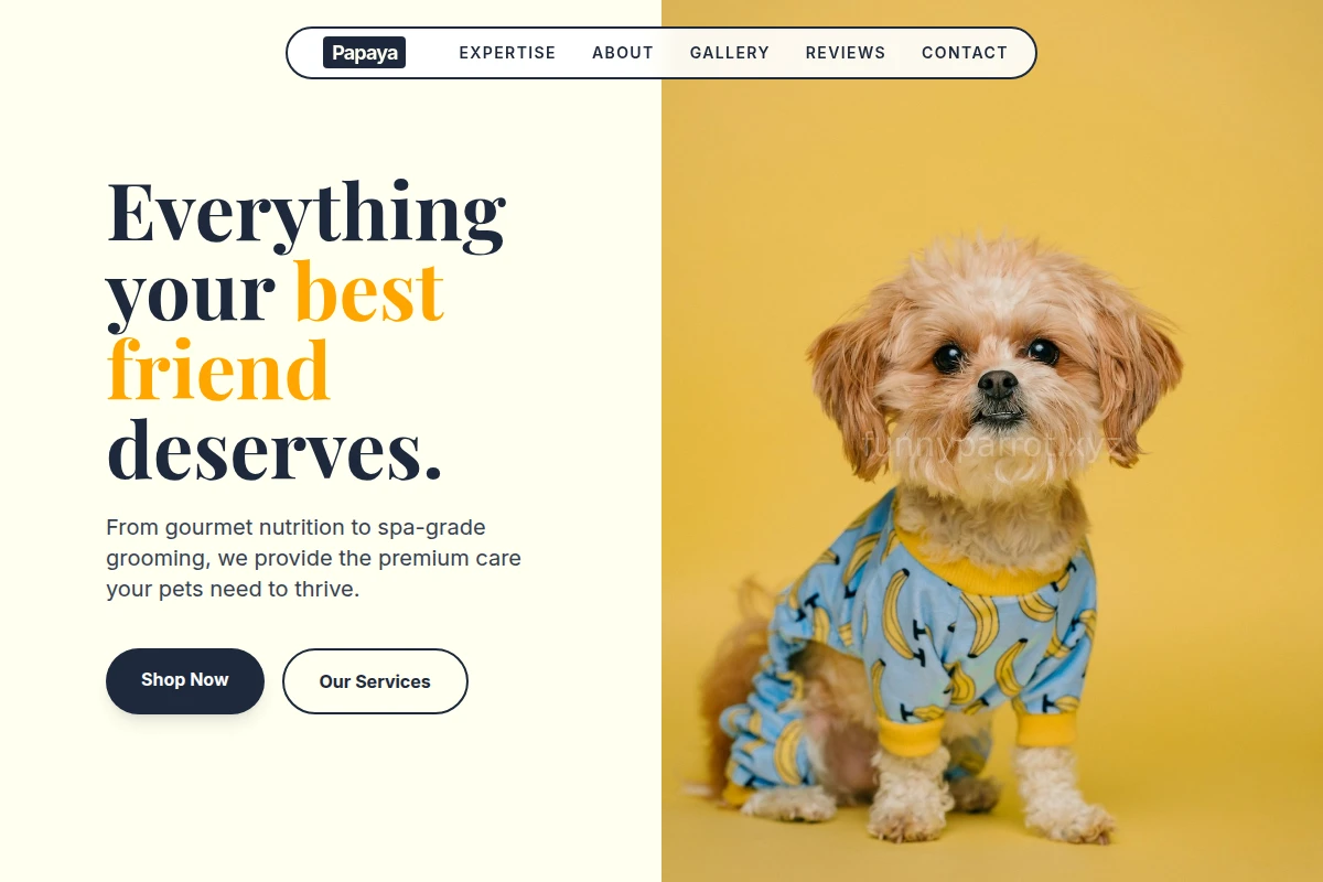 Papaya Pet Shop