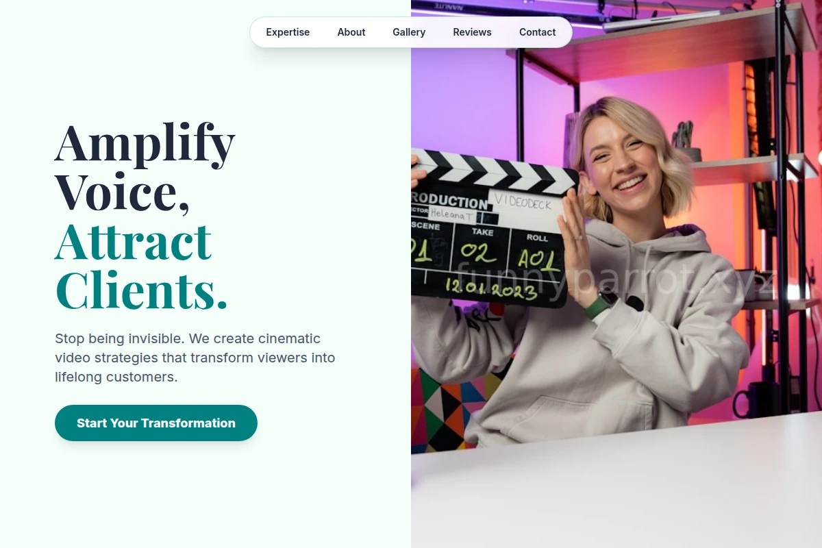 Vivid Video Marketing