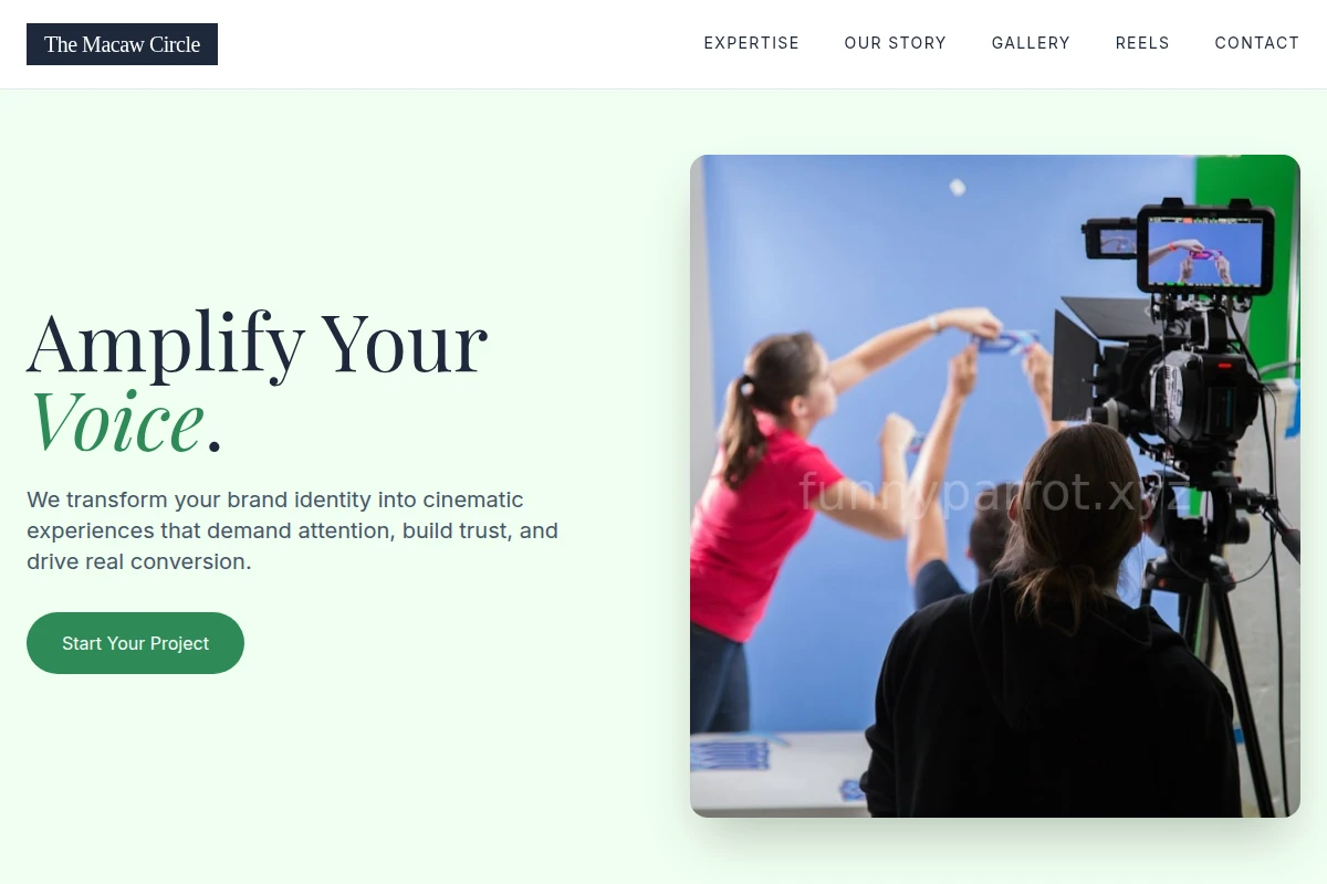 Macaw Video Marketing