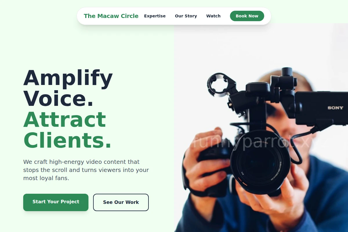 Playful Video Marketing