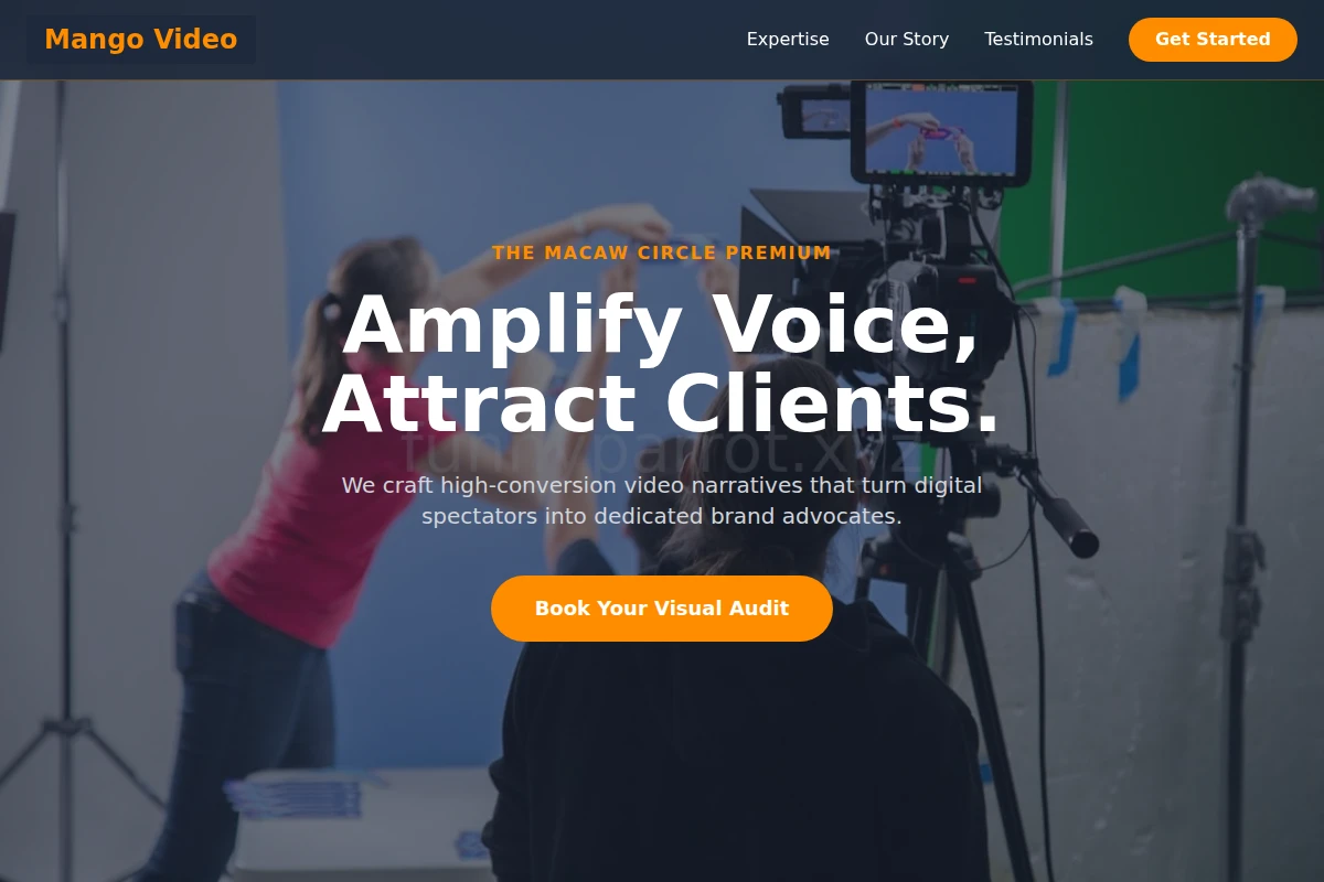 Mango Video Marketing